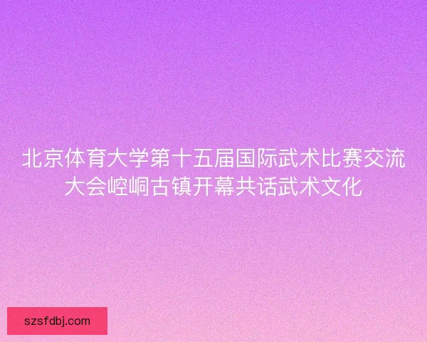 北京体育大学第十五届国际武术比赛交流大会崆峒古镇开幕共话武术文化