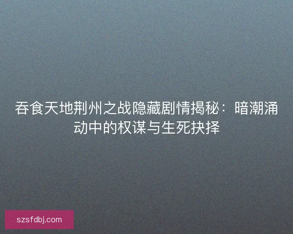 吞食天地荆州之战隐藏剧情揭秘：暗潮涌动中的权谋与生死抉择