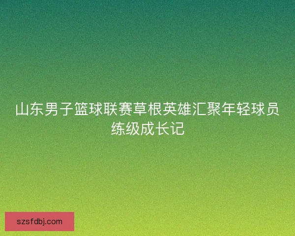 山东男子篮球联赛草根英雄汇聚年轻球员练级成长记